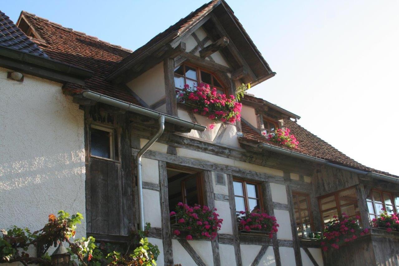 Hotel Gaestehaus Theresia Garni Muhlheim an der Donau Extérieur photo