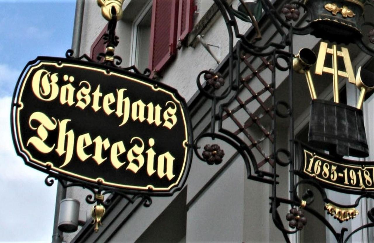 Hotel Gaestehaus Theresia Garni Muhlheim an der Donau Extérieur photo