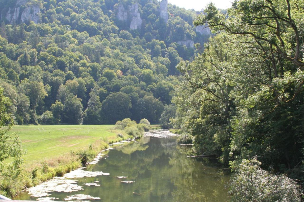 Hotel Gaestehaus Theresia Garni Muhlheim an der Donau Extérieur photo
